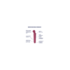 Vibromasseur wand rouge USB 60 vibrations Planet Wand-er Satisfyer 